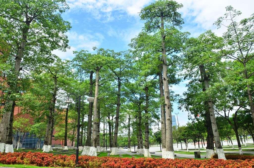 Guangzhou Baiyun International Convention Center Hotel Ngoại thất bức ảnh